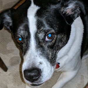 Meet your Posher, Gillian